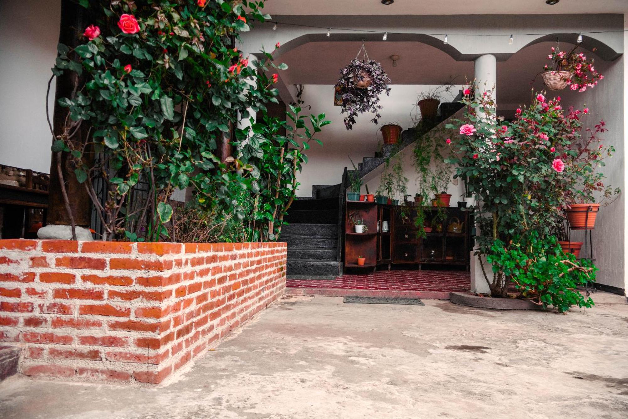Lar Antiqua Hotel كويتزالتنانغو المظهر الخارجي الصورة